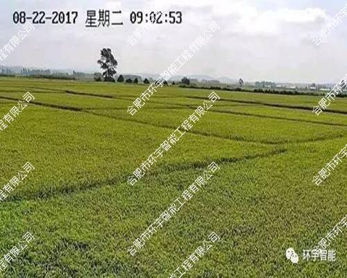 ˮ���Nֲ����ҕ�l�O(ji��n)��ϵ�y(t��ng)����