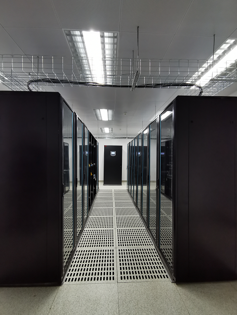 �C�����O